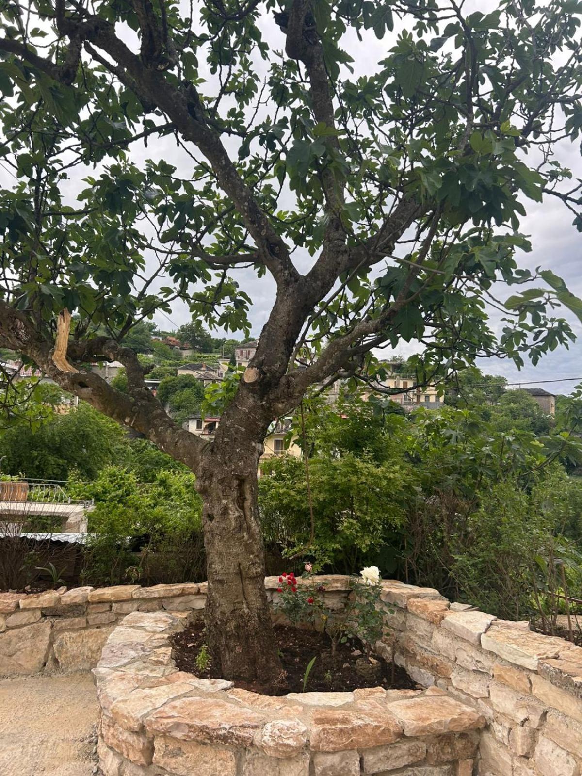Guest House Lengo Gjirokastër 外观 照片